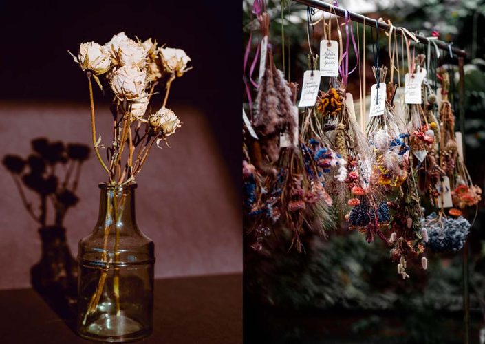Dried Flowers Touch Image